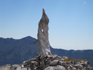 Crater Lake OR.