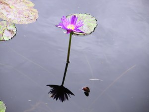 ???????????????????????????????