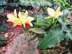 ???????????????????????????????