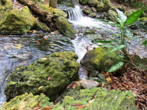 ???????????????????????????????