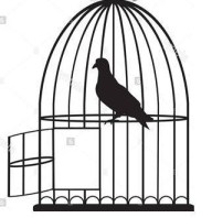 Bird in open cage